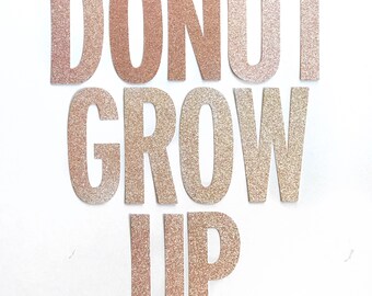 Donut Grow Up Glitter Banner | Birthday Decor | Donut Party | Birthday Party | Donut Grow Up |  Breakfast Birthday |