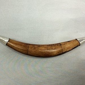 May include: A curved, brown, bone-like object with silver metal caps on each end. The object has a slight curve and is about 10 inches long.
