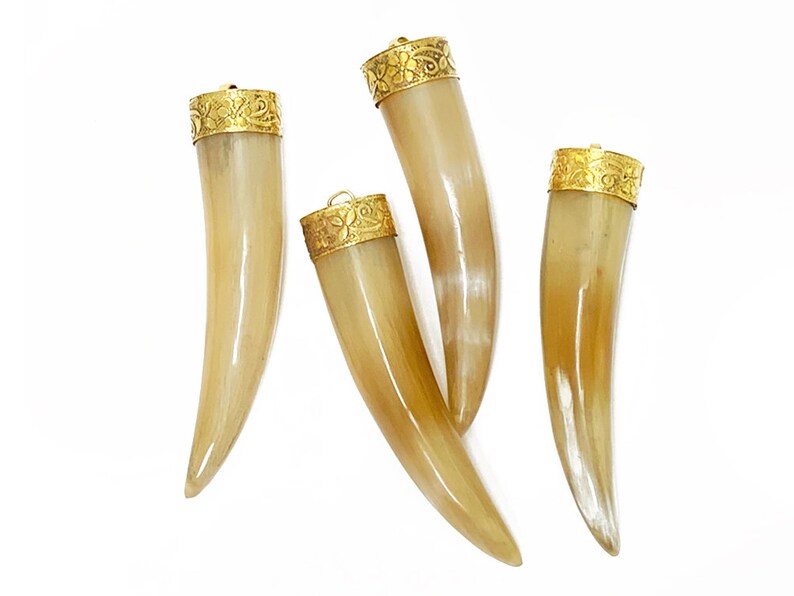 Horn Tusk Pendant 3.5 Large Real Horn Tooth Tusk Horn Etsy