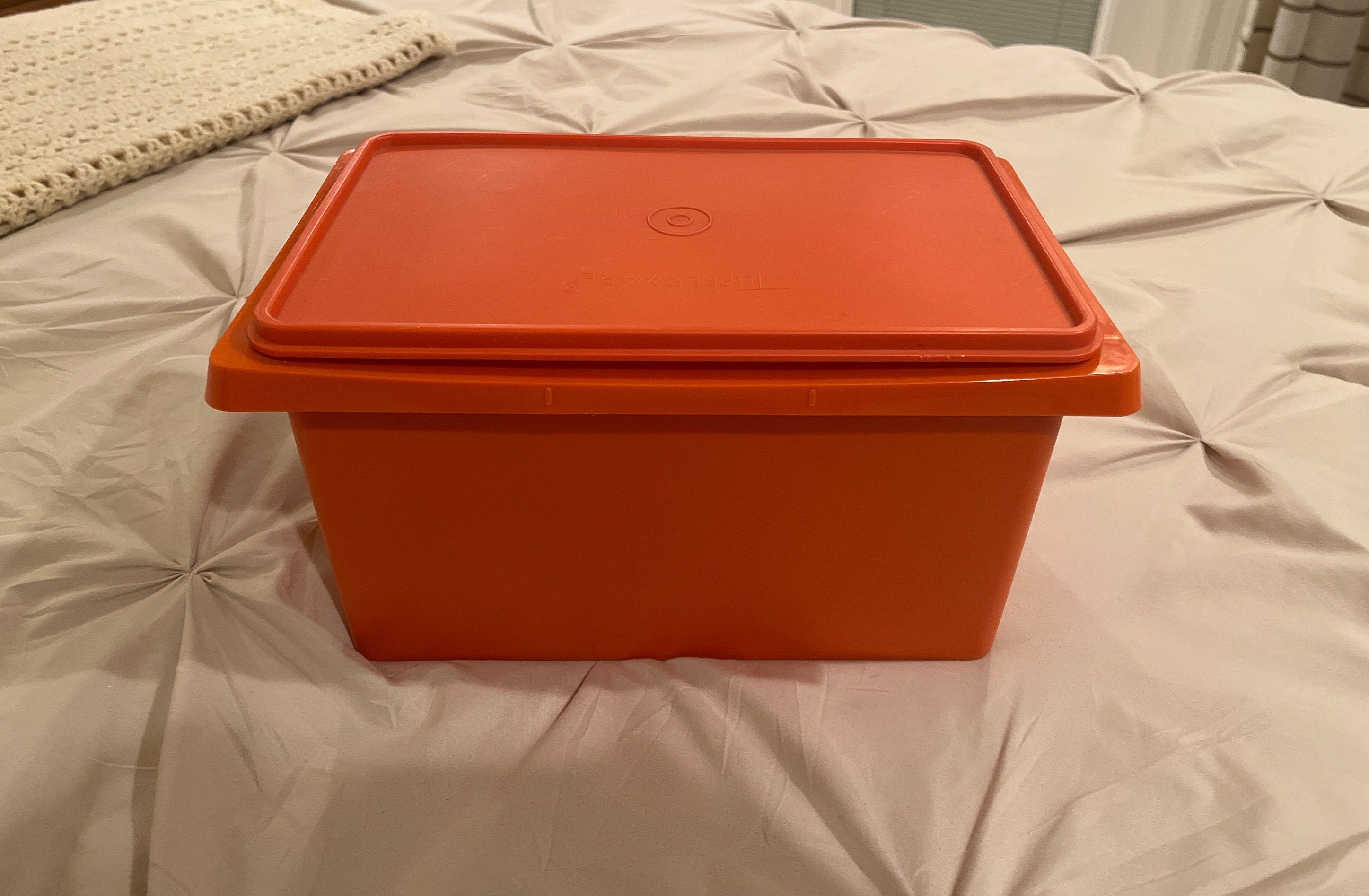 Tupperware Large Storage Container 256-1 224-5 Lid Cake Carryall