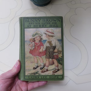 Vintage Bunny Brown and His Sister Sue at Berry Hill by Laura Lee Hope 1929 Book