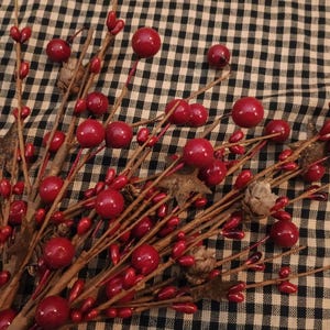 12" pip berry pick / red, pine cones & rusty stars / primitive country berries / faux greenery stems