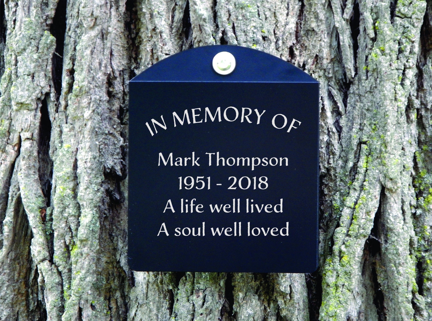 ggive a tree in memory note ggive a tree in memory note