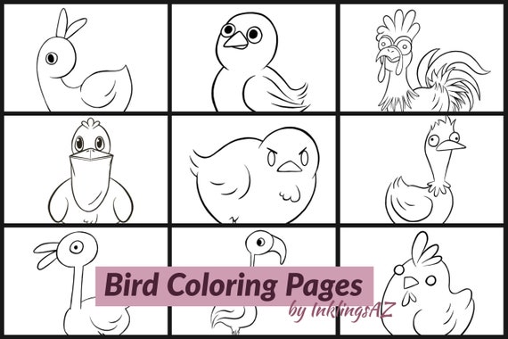 Birds Coloring Pages Full Pack High Resolution B W Etsy Birds Coloring Pages Full Pack High Resolution B W Etsy