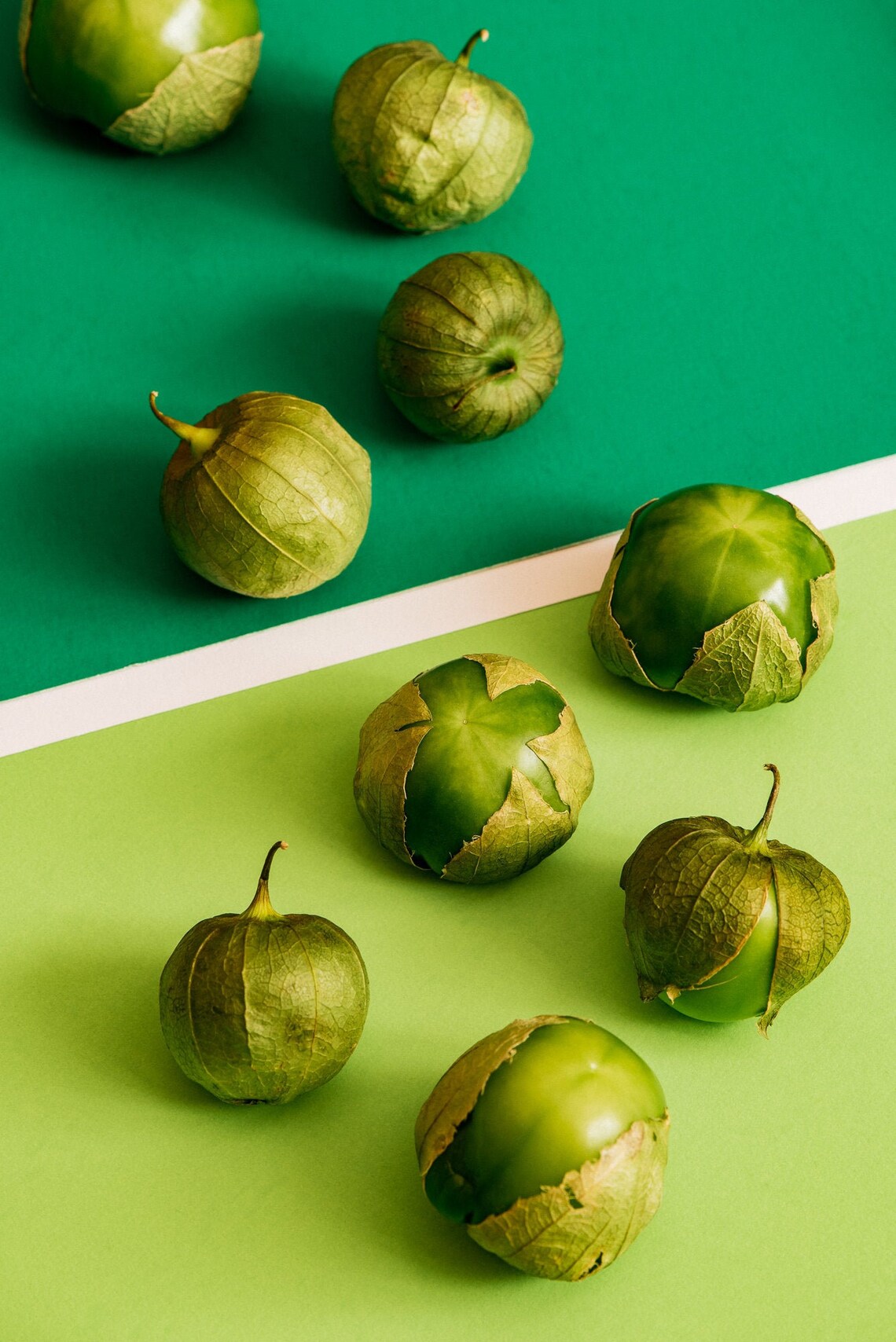 Tomatillos Monochromatic Fruit Still Life Colourful and Etsy