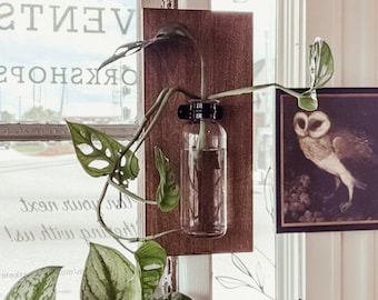 Rustic Wood Farmhouse Sconce, Wall Sconce, Rustic Wall Decor, Farmhouse Wall Decor, Propagation Plant Lover