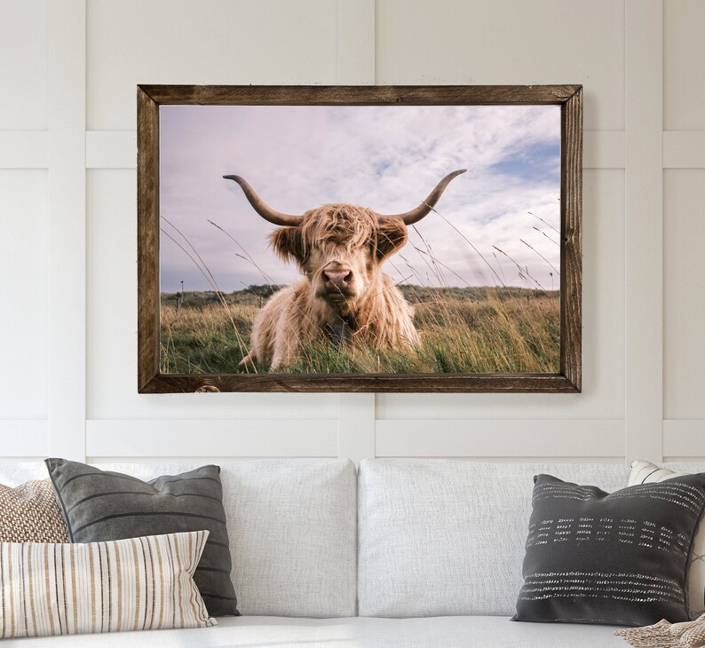 Highland Cow Framed Art Print Cow Art Living Room Art Etsy