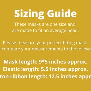 Toile Face Mask, Set Of 3, Washable Fabric Face Mask image 10