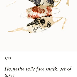 Toile Face Mask, Set Of 3, Washable Fabric Face Mask image 4