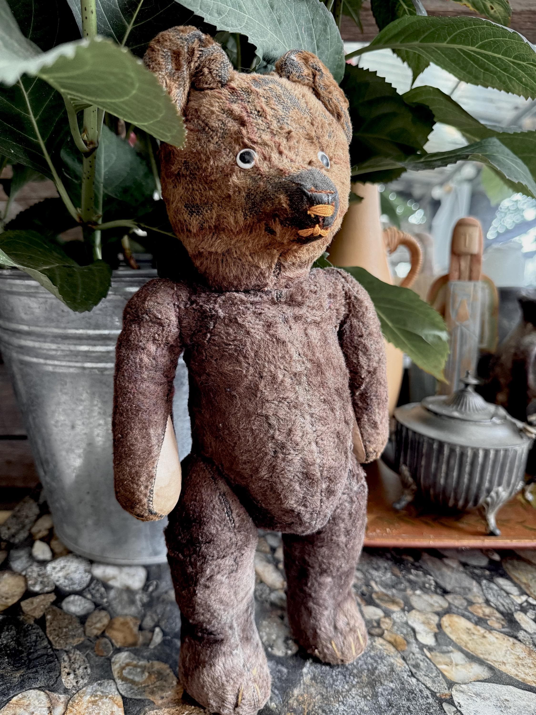 Antique french bear - Etsy 日本