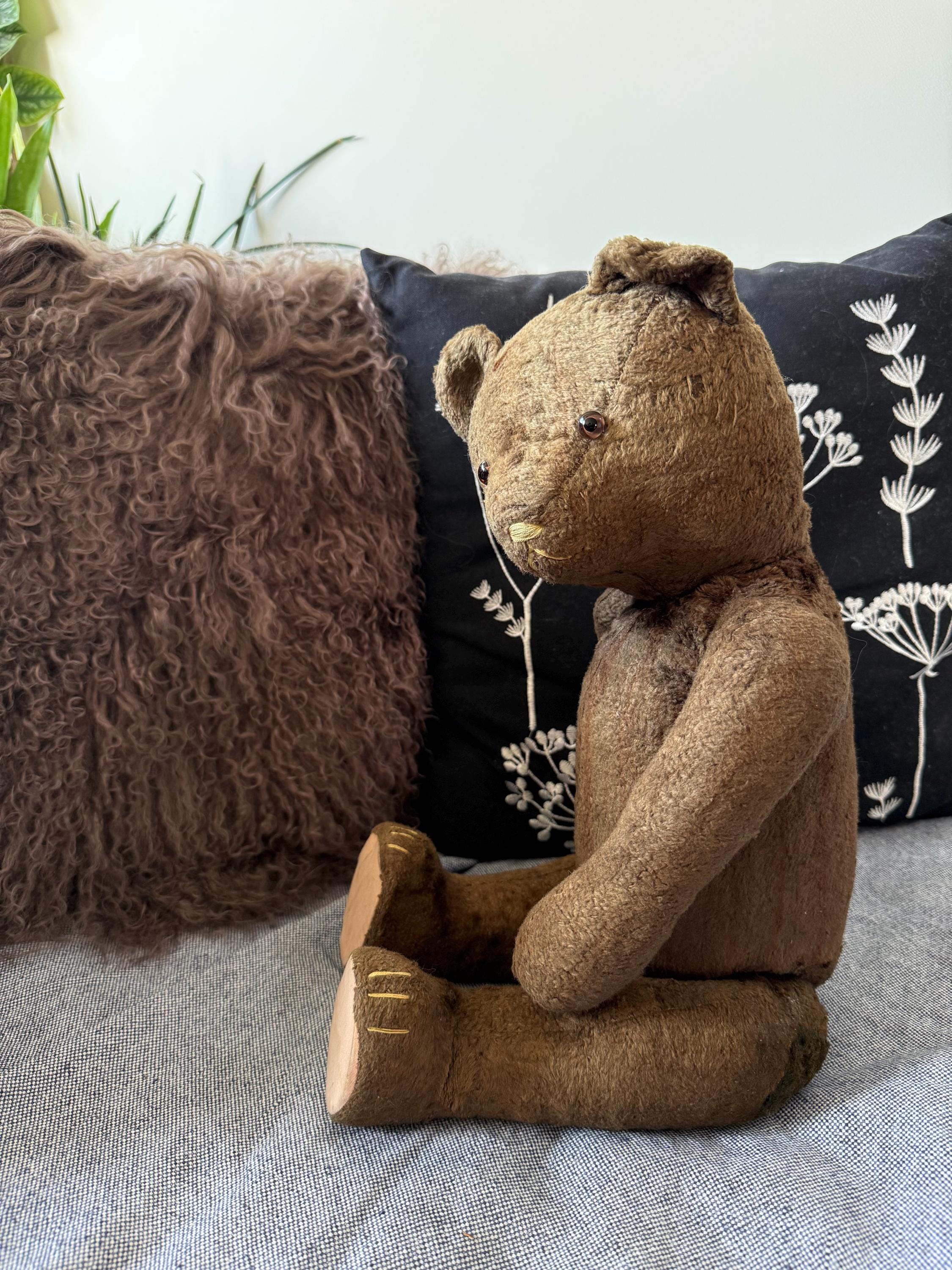 Antique french bear - Etsy 日本
