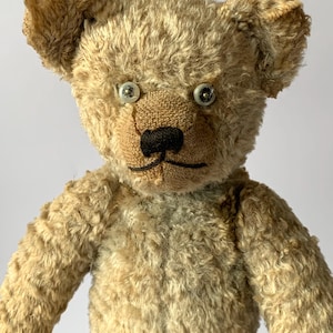 Vintage English plush teddy bear with growler