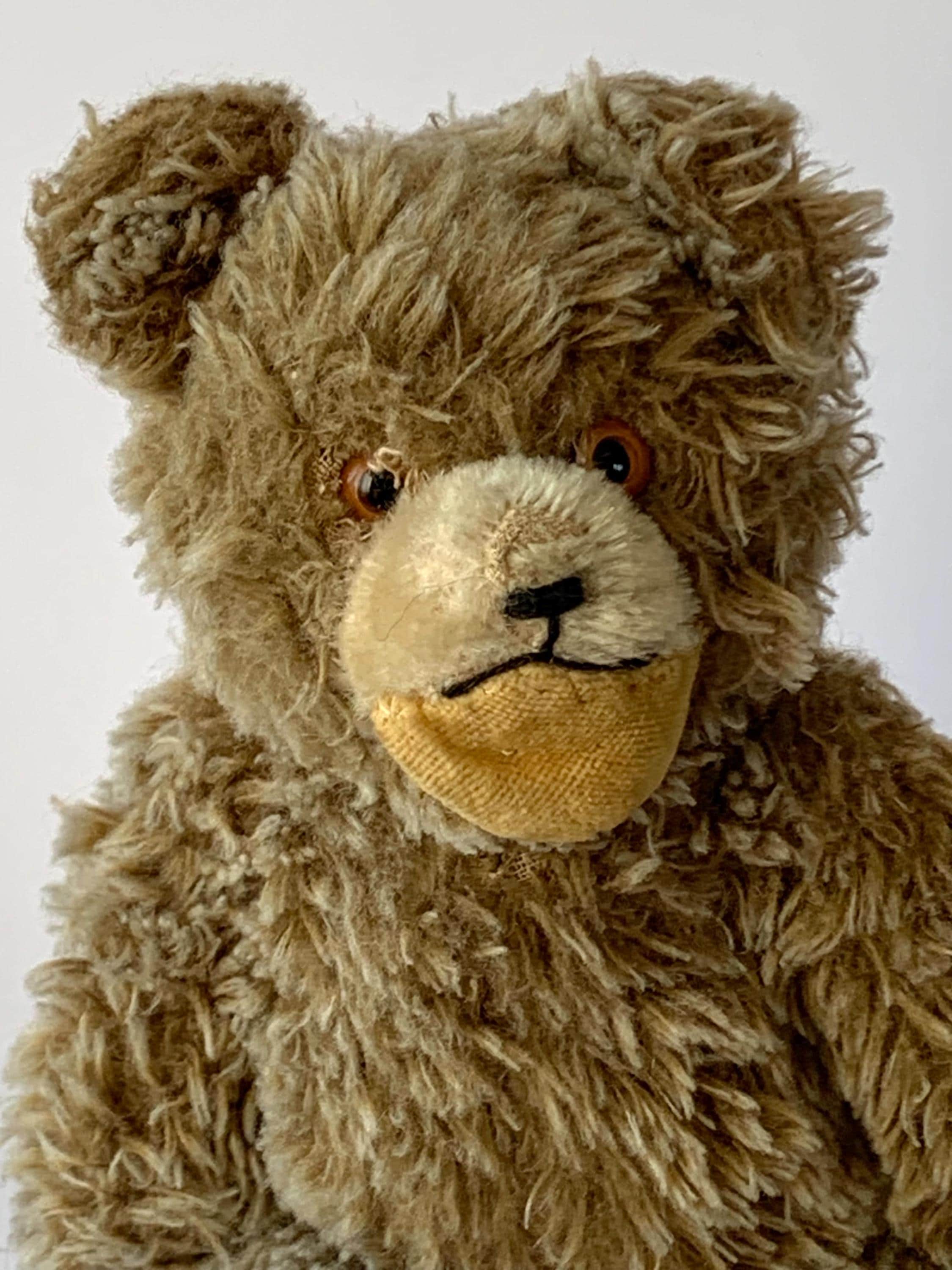 ドイツ シュタイフ テディベア Teddy 1960 シュタイフ社 ＊ 1950〜'60年代のゾッティちゃん！！＊ 体長22cm