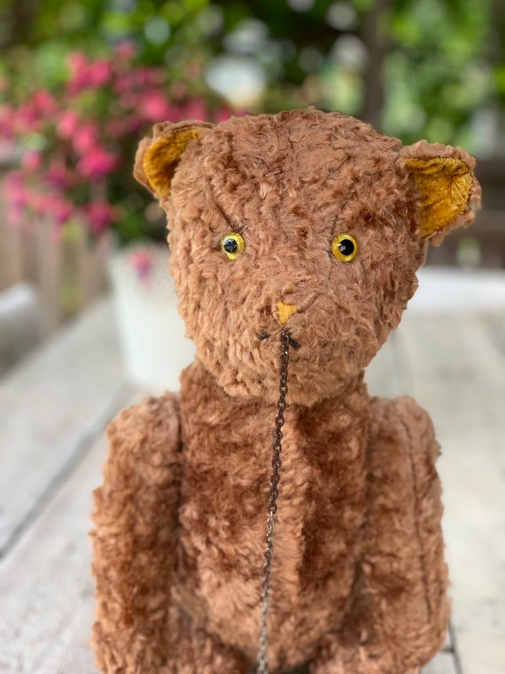 antique teddy