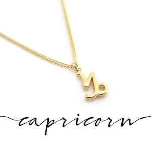 Gold Capricorn Jewelry, Dainty Capricorn Necklace, Small Capricorn Pendant, Capricorn Zodiac Necklace, Capricorn Gift for Her