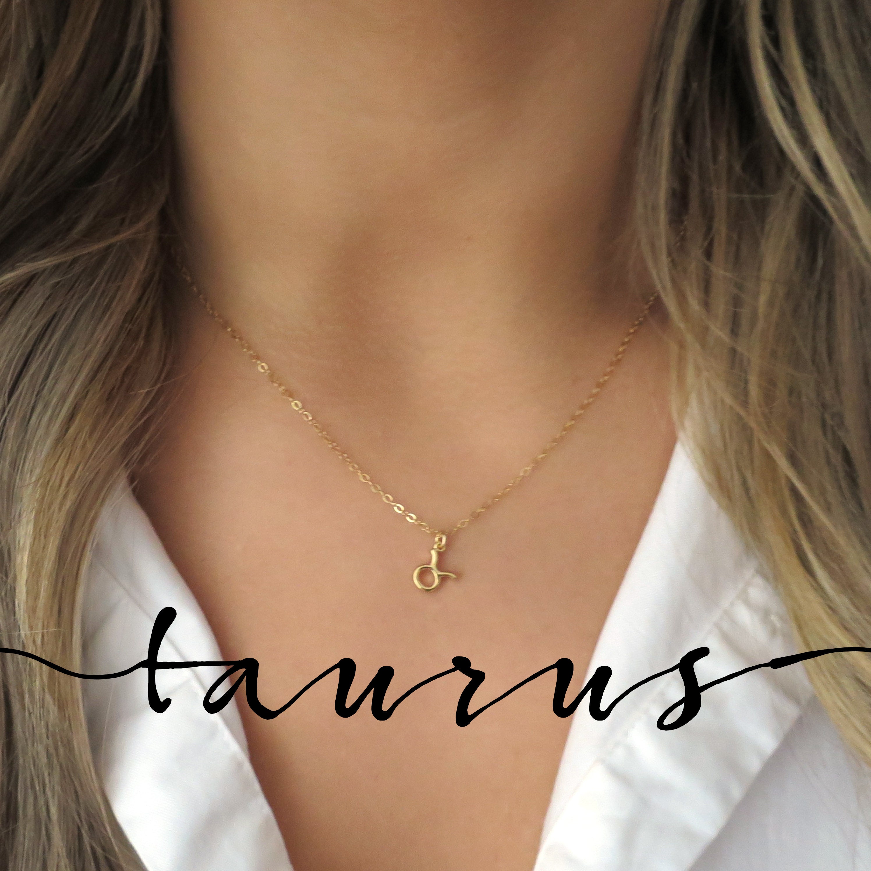 Dainty Taurus Sign Necklace Gold Taurus 
