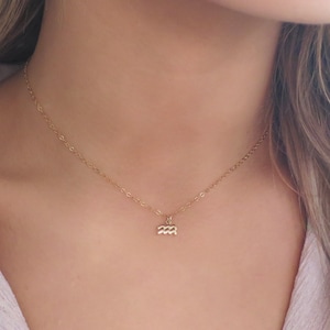 May include: A gold chain necklace with a small gold pendant in the shape of the Aquarius zodiac sign.
