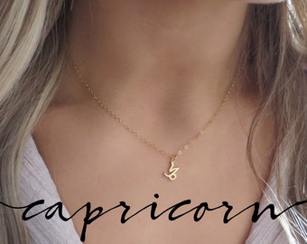 Gold Capricorn Necklace Gold, Small Capricorn Sign Necklace, Capricorn Zodiac Necklace, Dainty Capricorn Jewelry, Capricorn Gift,