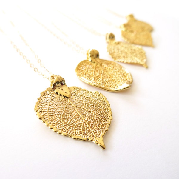 Gold Leaf Necklace, 22k Gold Aspen Leaf, Delicate Gold Filled Chain, Real Leaf, Filigree Leaf, Delicate Necklace, Gold Jewelry, Dainty Gold