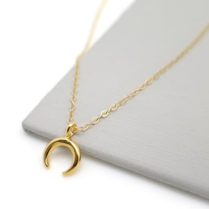 Kleine Gold Horn Halskette, zierliche Gold Horn Anhänger, Gold Doppelpunkt Halskette, Gold Punkt Anhänger, kleine Horn, zierliche Gold Halskette