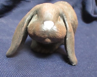 English Lop - brown with pink nose