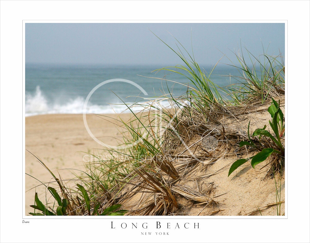 Long beach ny landscapers