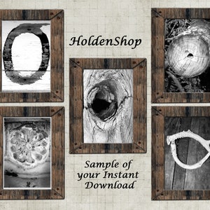 SET of 5 DIFFERENT STYLES Alphabet Art (o)- Instant Download Letter Digital Photo Images of letter “o”