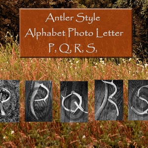 Antler Alphabet Art Letter Descarga digital