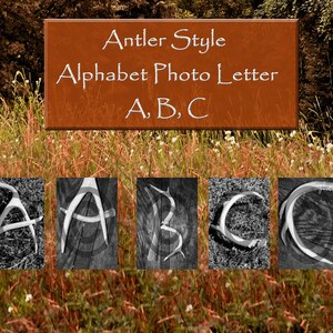 Antler Alphabet Art Letter Descarga digital