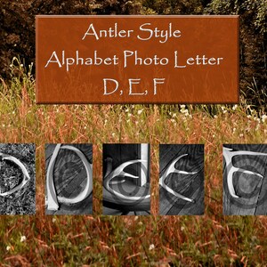 Antler Alphabet Art Carta Digital Descargar