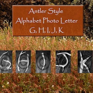 Antler Alphabet Art Carta Digital Descargar