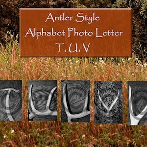 Antler Alphabet Art Carta Digital Descargar
