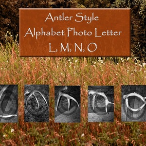 Antler Alphabet Art Carta Digital Descargar