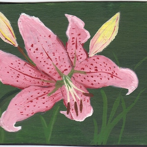 ACEO- Original Art Painting-Oriental Lily, Rubrum Lily- By the Artist