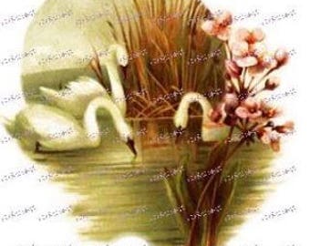 VinTaGe SHaBbY SCeNiC SWaN DeCALs