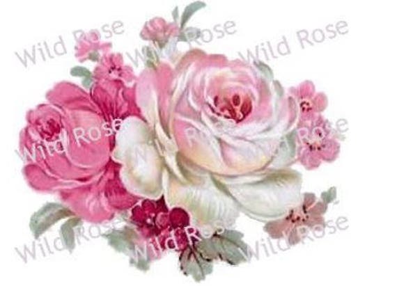 VinTaGe IMaGe BeST ChiC VioLeT CaBbaGe RoSeS ShaBby DeCALs FuRNiTuRe SiZe