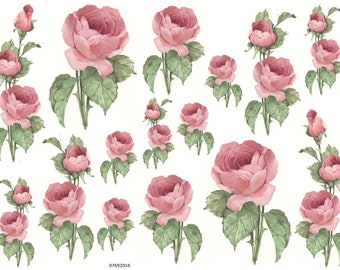 VinTaGe CaBbaGe RoSeS & BuDs SHaBbY WaTerSLiDe DeCALs