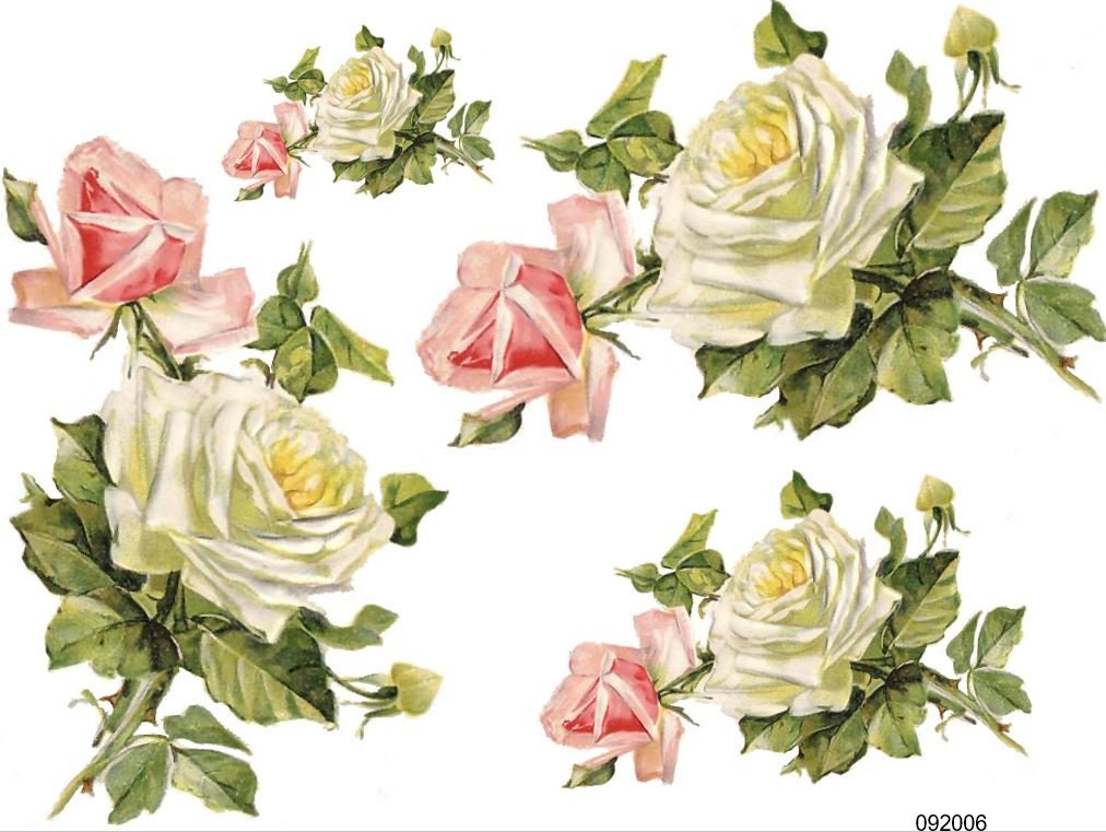 XL Pink & White Rose Sprays Shabby Transfers Waterslide Decals - Etsy