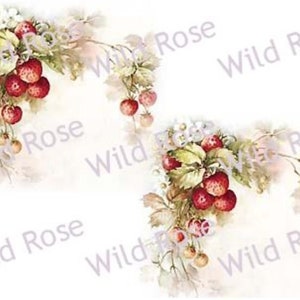 May include: Two watercolor illustrations of strawberry vines with red berries and white flowers. The vines are arranged in a corner design with the berries and flowers facing inward.
