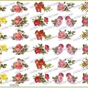 May include: A digital sheet of 24 vintage floral illustrations featuring pink, red, and yellow roses with green leaves. The roses are arranged in a variety of poses and angles.