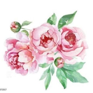 VinTaGe IMaGe XL STuNNinG PinK PeoNieS SHaBbY WaTerSLiDe DeCALs FuRNiTuRe SiZe