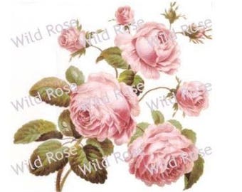 HanDPaiNTeD MauVe & TeaL CaBbaGe RoSeS ShabbY WaTerSLiDe DeCALs KNoBs HanGeRs 