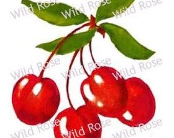 Ceramic Decals - Cherry Branches Design (Black, 19 X 13 Inch), Underglaze Transfer - View #3