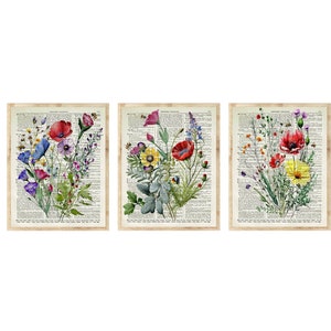 Watercolor Wildflowers Printed On 125+ Year Old Dictionary Pages, Colorful Floral Wall Art Set Of 3, Botanical Decor, Farmhouse, Cottagecore