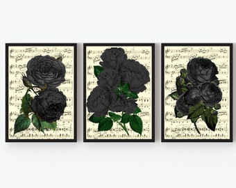 Antique Music Pages With Striking Black Roses, Dark Academia Aesthetic, Over The Bed 3 Print Set, Gothic  & Witchy Art Prints Home Decor