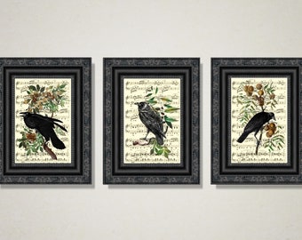 Ravens & Crows Printed On Antique Music Pages, Set of 3, Vintage Illustrations, Dark Academia Home Decor, Gothic Wall Art, Halloween Decor