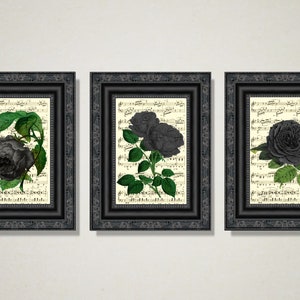 A Trio Of Vintage Black Roses Printed On 110+ Year Old Antique Music Pages, Victorian Gothic Home Decor, Dark Academia Prints, Witchy Art