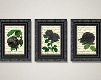 Vintage Black Rose Print Set: Gothic Music Page Art