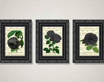 A Trio Of Vintage Black Roses Printed On 110+ Year Old Antique Music Pages, Victorian Gothic Home Decor, Dark Academia Prints, Witchy Art