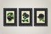 A Trio Of Vintage Black Roses Printed On 100+ Year Old Antique Music Pages, Victorian Gothic Home Decor, Dark Academia Art Prints, Halloween 